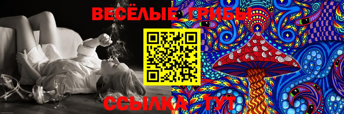 Галлюциногенные грибы Psilocybine cubensis Кимры